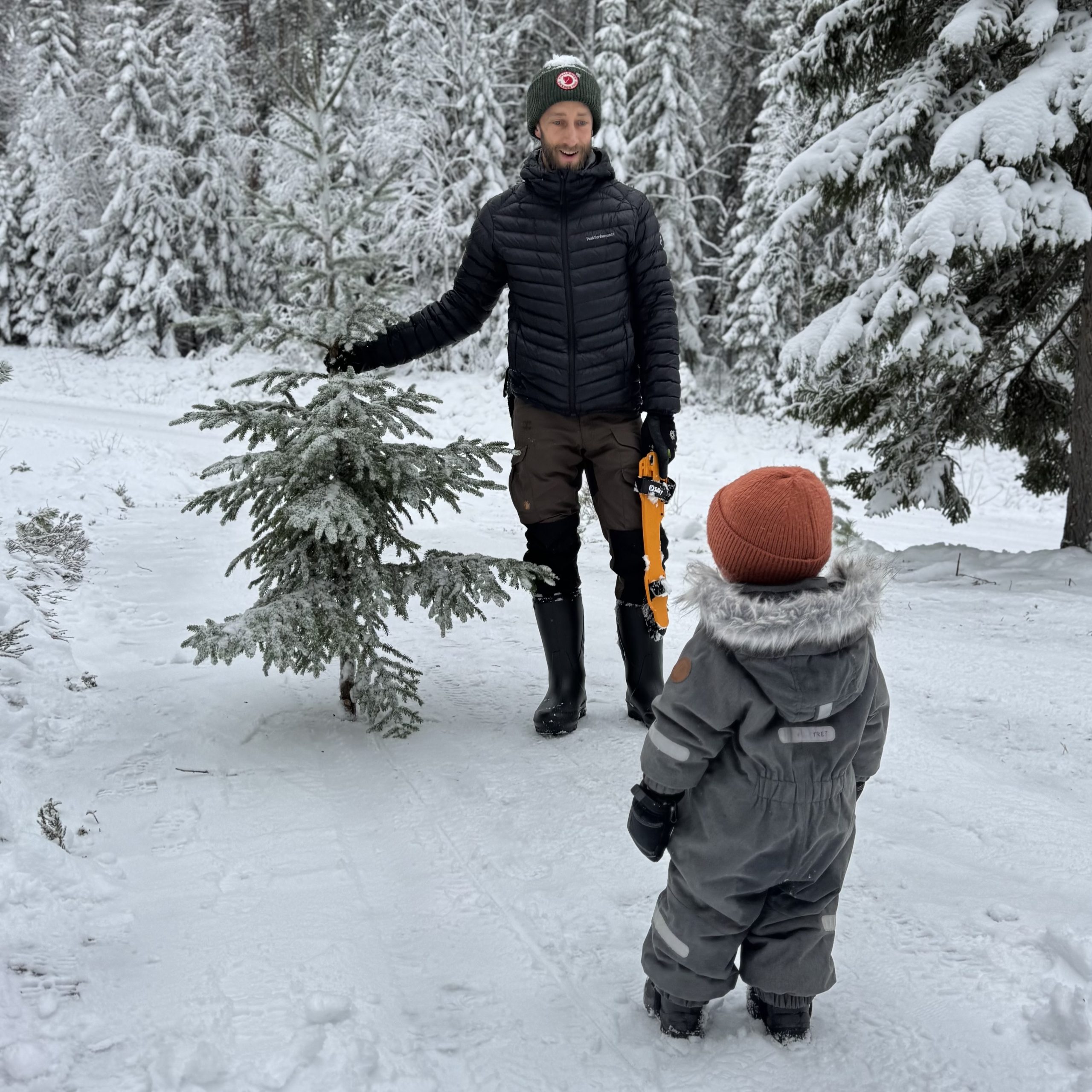 Julen Grönyte Konsult